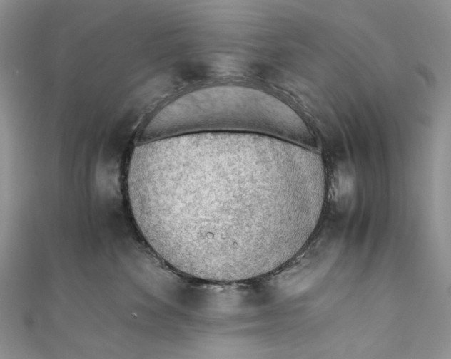 X0000110910524200907091439