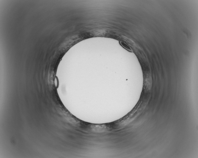 X0000110910525200907091439