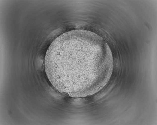 X0000110910527200907091439