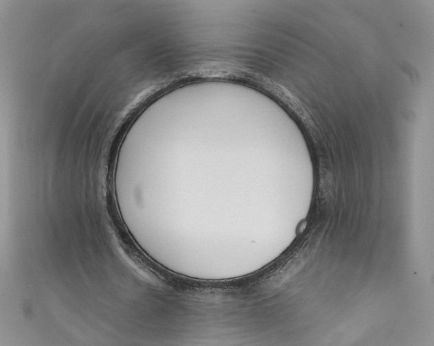 X0000110910530200907091438