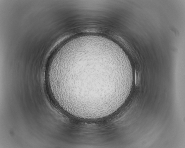 X0000110910531200907091438