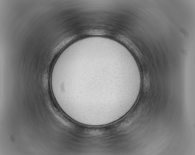 X0000110910533200907091438