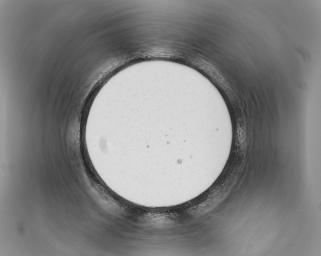 X0000110910534200907091438