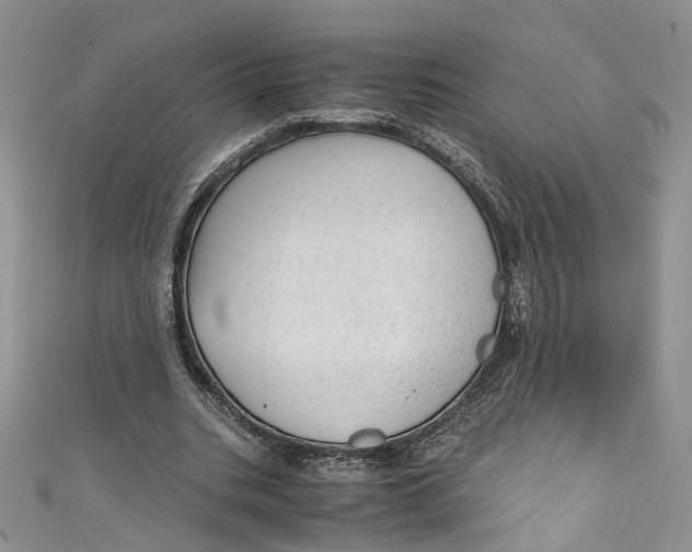 X0000110910535200907091439