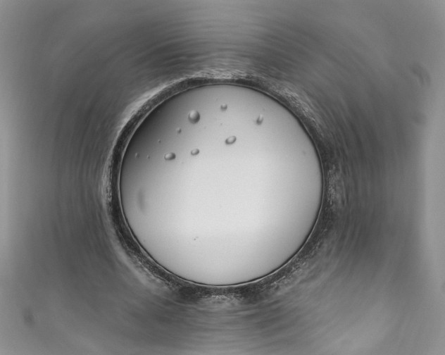 X0000110910536200907091439