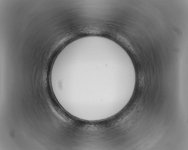 X0000110910538200907091439