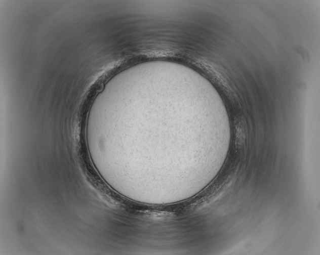 X0000110910539200907091439