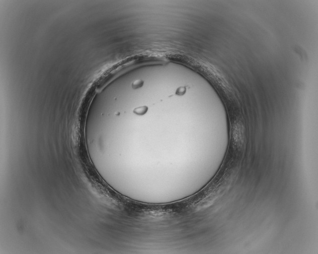 X0000110910540200907091439