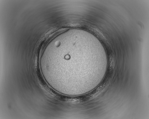 X0000110910542200907091439