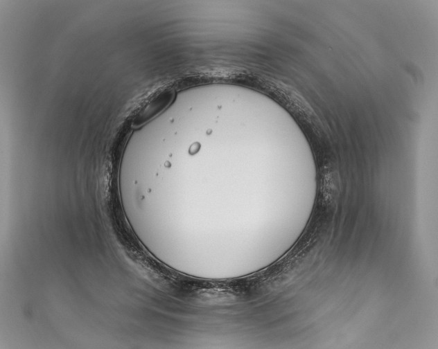 X0000110910544200907091439