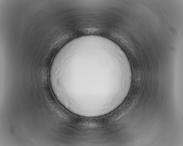 X0000110910545200907091439