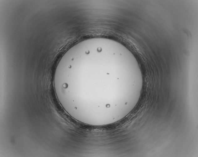 X0000110910546200907091439