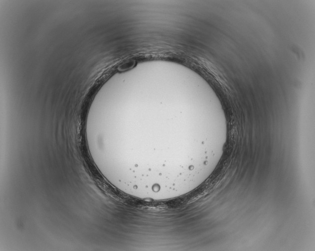 X0000110910548200907091439