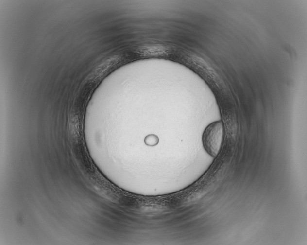 X0000110910549200907091439