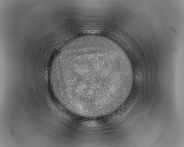 X0000110910551200907091439