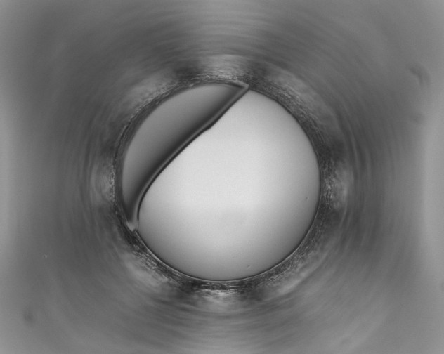 X0000110910552200907091439