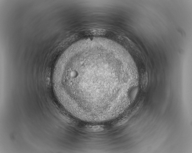 X0000110910553200907091439