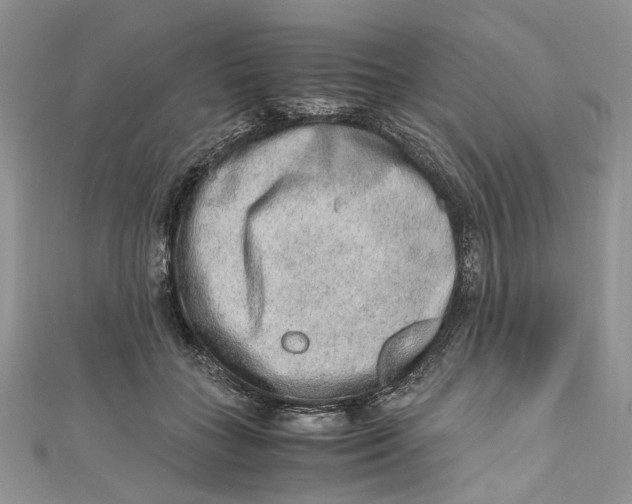 X0000110910555200907091439