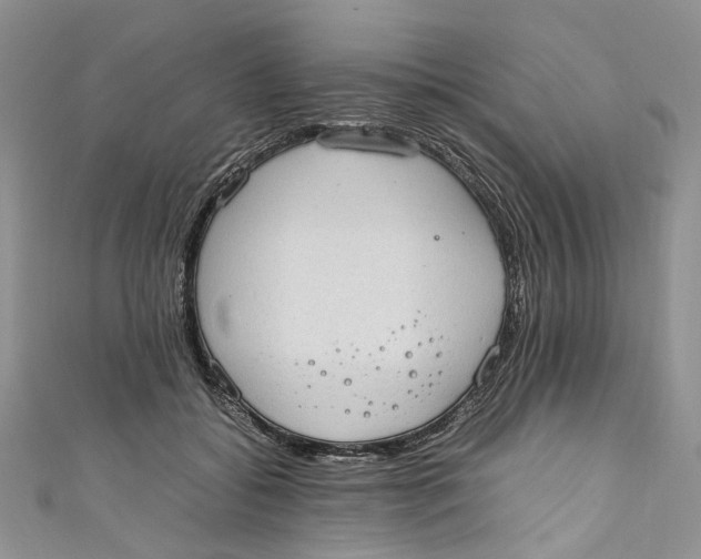 X0000110910556200907091439