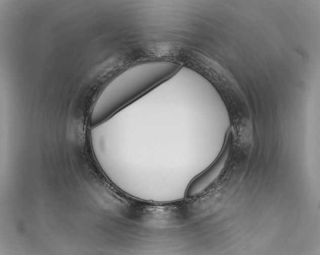 X0000110910558200907091439