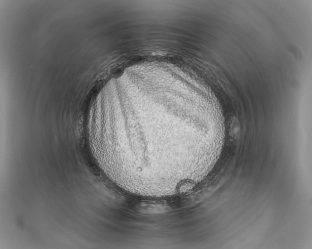 X0000110910559200907091439