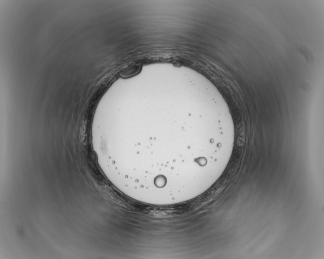 X0000110910560200907091439