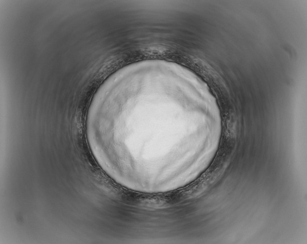 X0000110910561200907091439