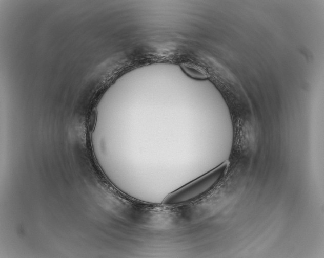 X0000110910562200907091439