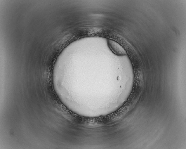 X0000110910565200907091439