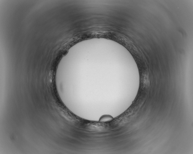 X0000110910567200907091439