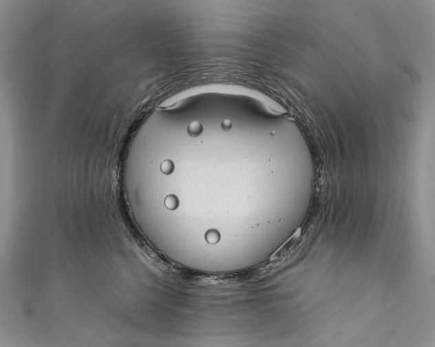 X0000110910568200907091439