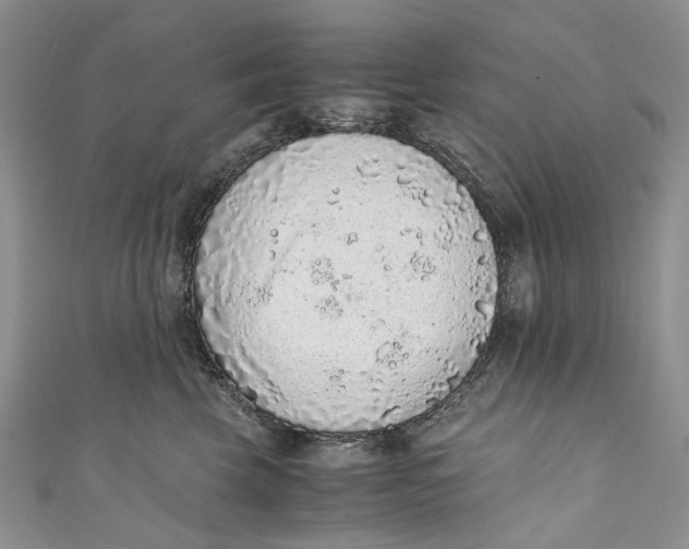 X0000110910569200907091439