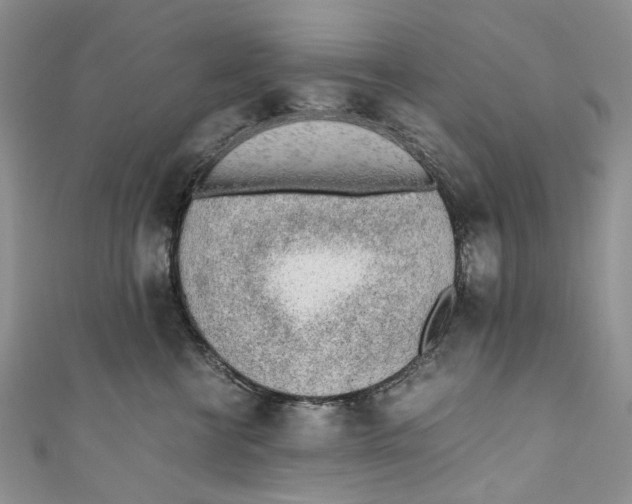 X0000110910570200907091439