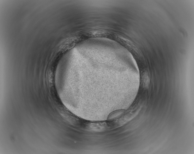 X0000110910571200907091439