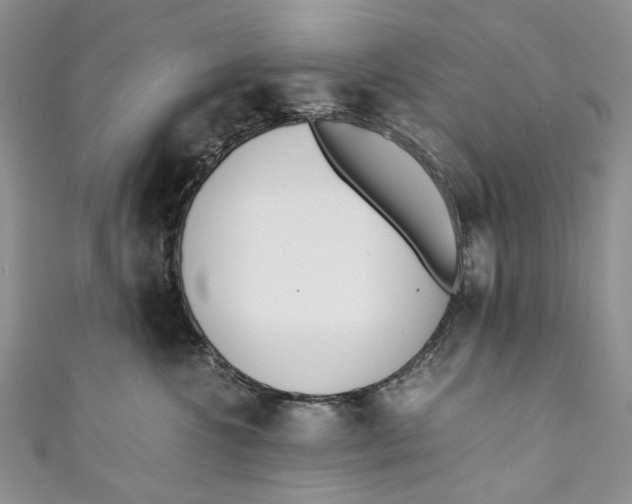 X0000110910572200907091439