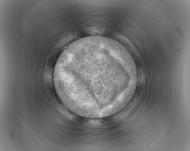 X0000110910573200907091439