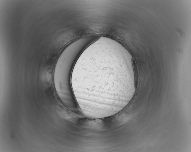 X0000110910576200907091439