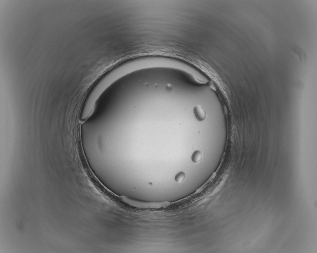 X0000110910577200907091438