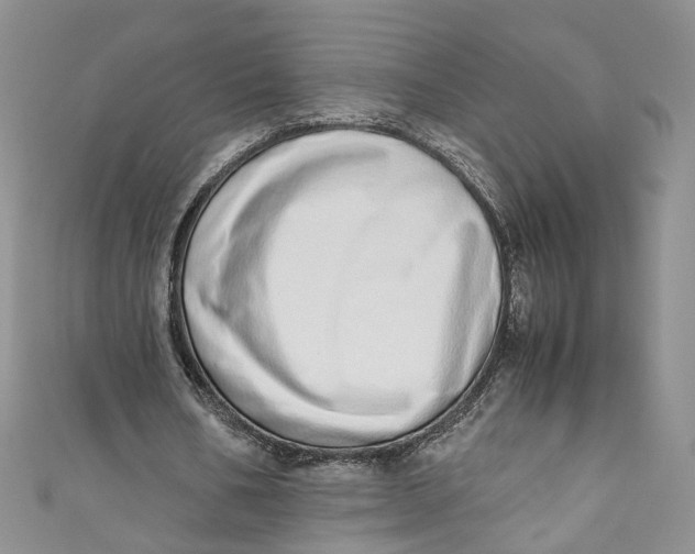 X0000110910578200907091438