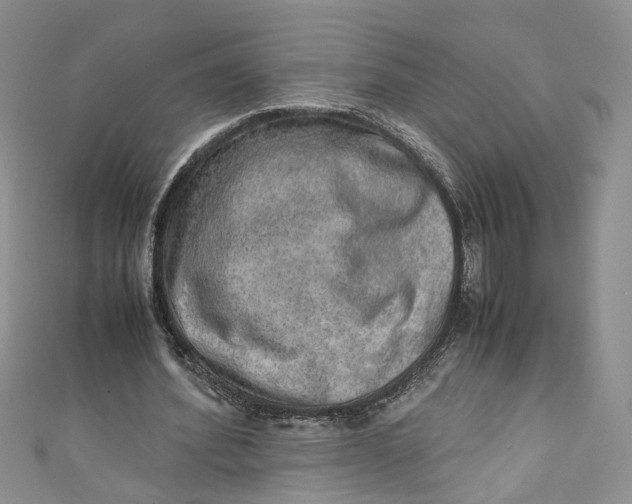 X0000110910580200907091438