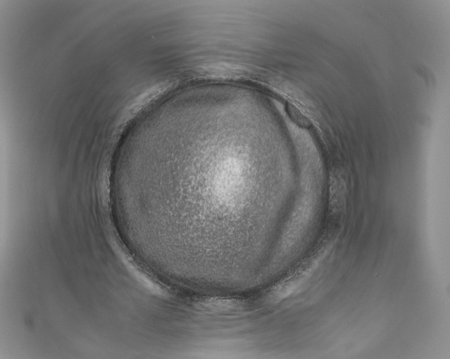 X0000110910581200907091438