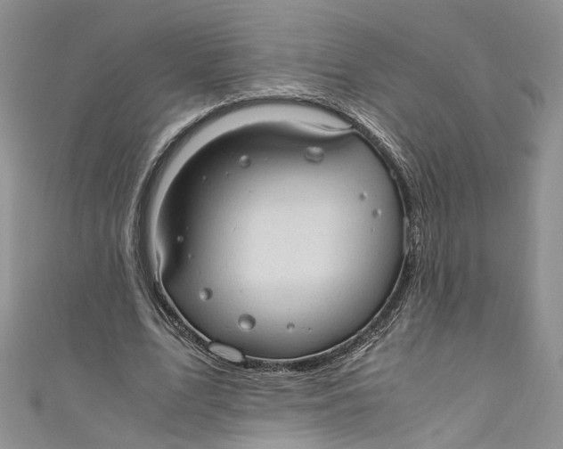 X0000110910583200907091438