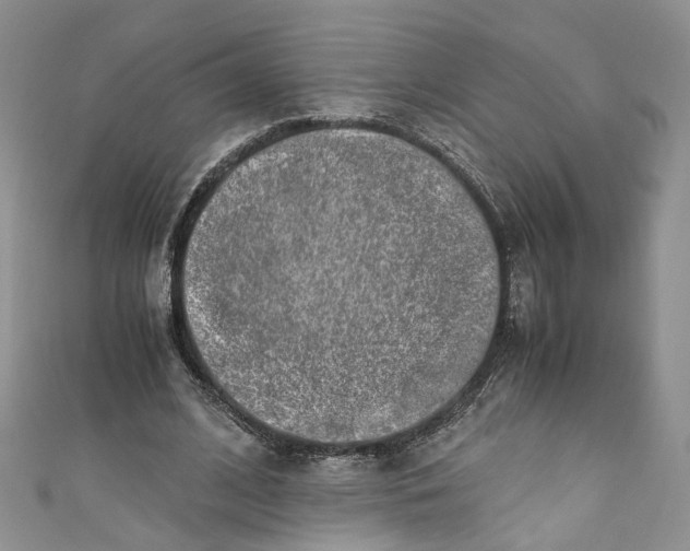 X0000110910584200907091438