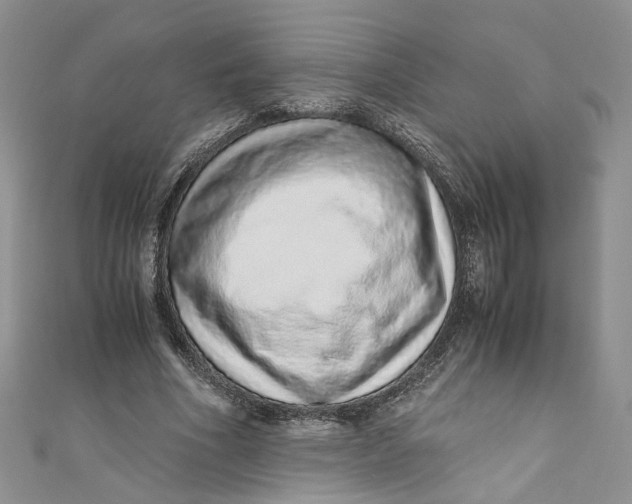 X0000110910586200907091438