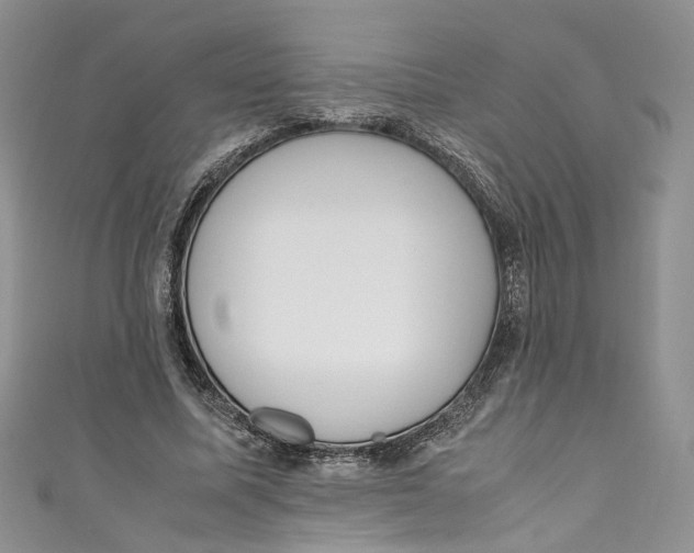 X0000110910587200907091438