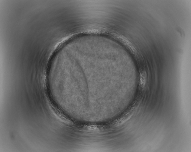 X0000110910588200907091438