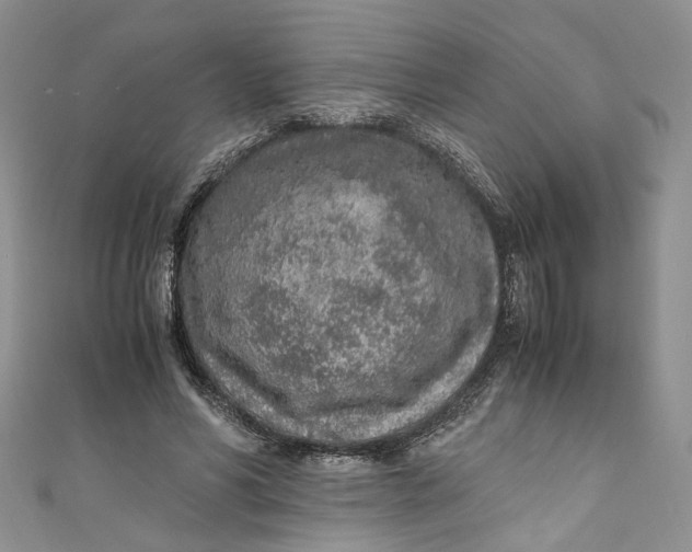 X0000110910590200907091438