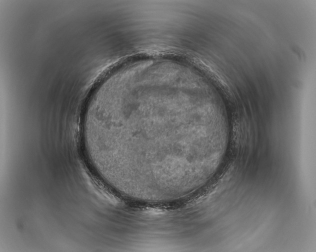 X0000110910592200907091438