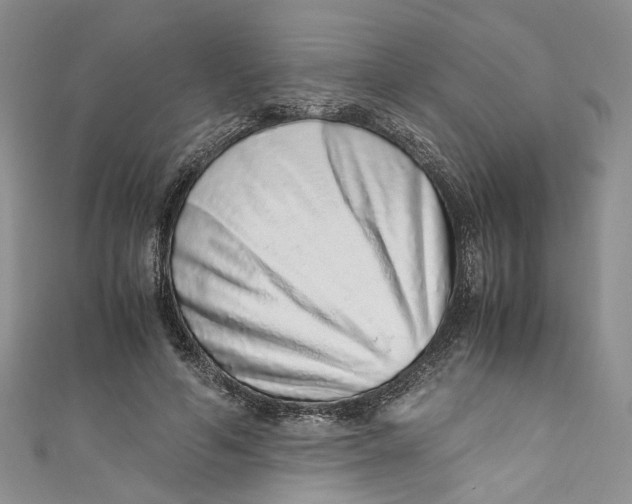 X0000110910594200907091438