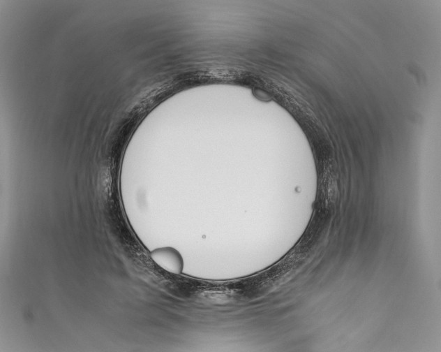 X0000110910595200907091438